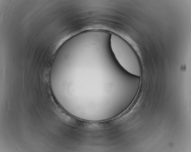 X0000091490945200708161207