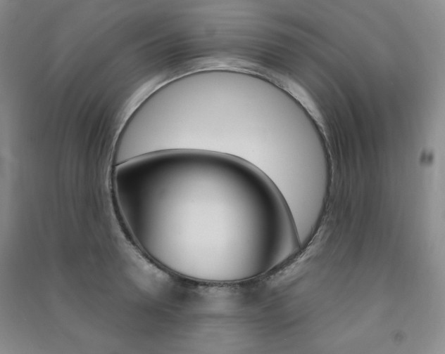 X0000091490946200708161207