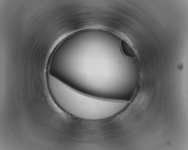 X0000091490947200708161207