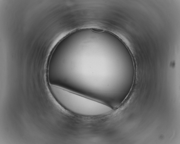 X0000091490949200708161207