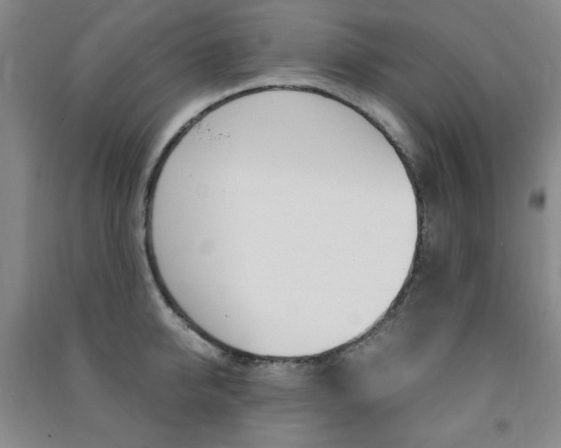 X0000091490950200708161207