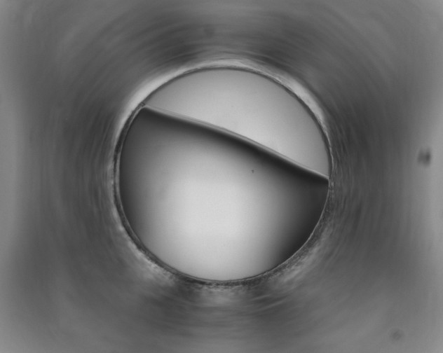 X0000091490951200708161207