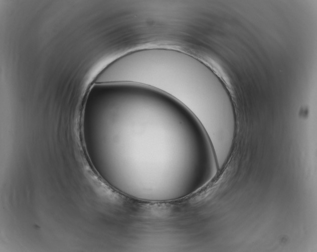 X0000091490952200708161207