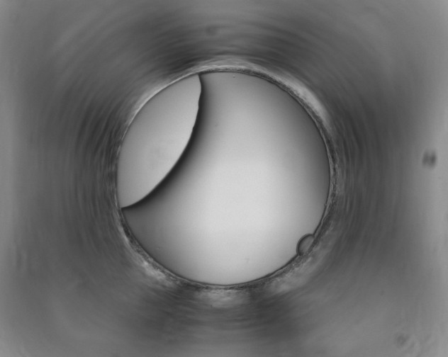 X0000091490953200708161207