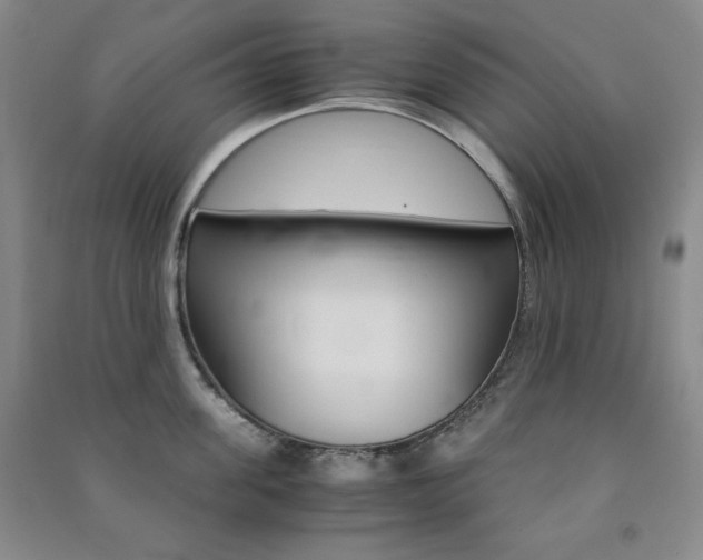 X0000091490955200708161207