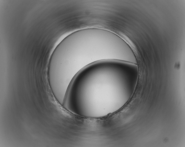 X0000091490956200708161207