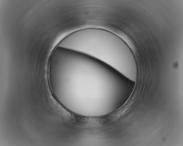 X0000091490958200708161207