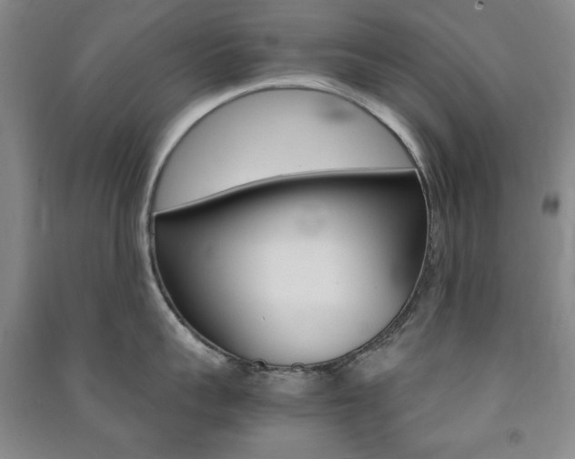 X0000091490959200708161207
