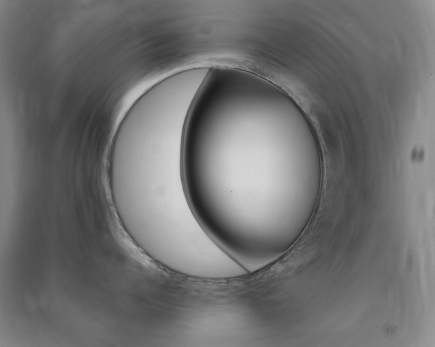 X0000091490960200708161207