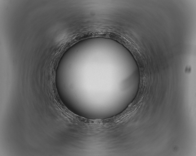 X0000091490961200708161207