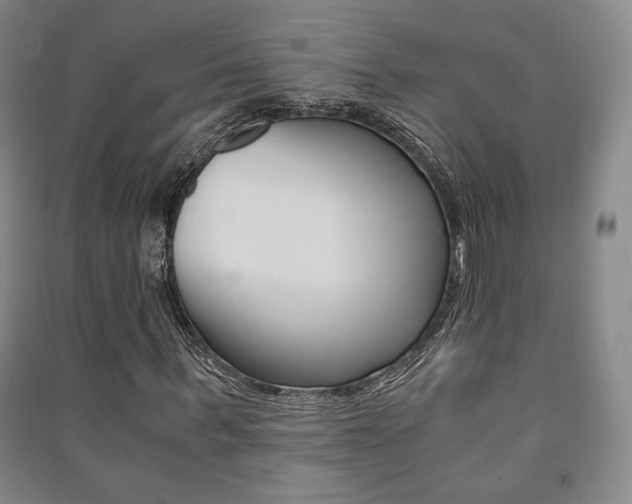 X0000091490963200708161207