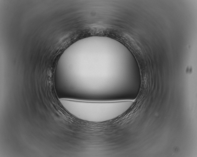 X0000091490964200708161207