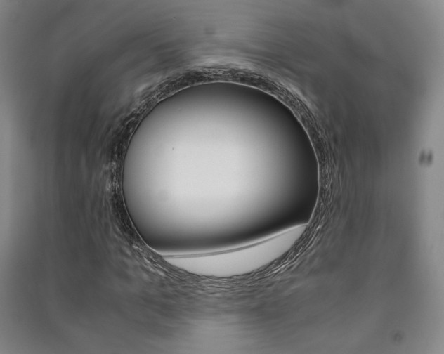 X0000091490965200708161207