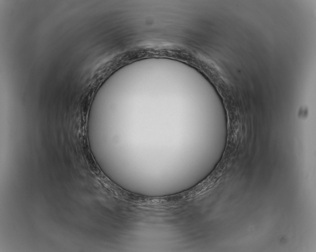 X0000091490966200708161207
