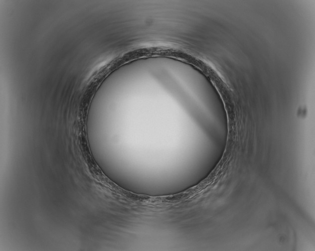 X0000091490967200708161207