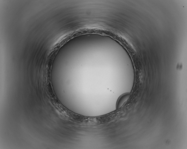 X0000091490968200708161207