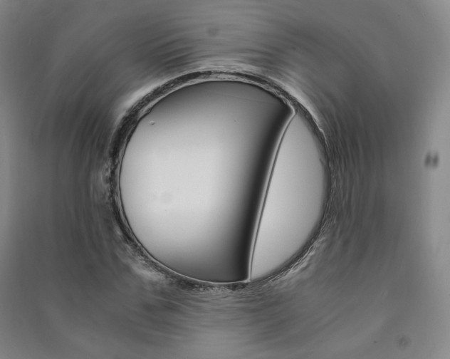 X0000091490971200708161207