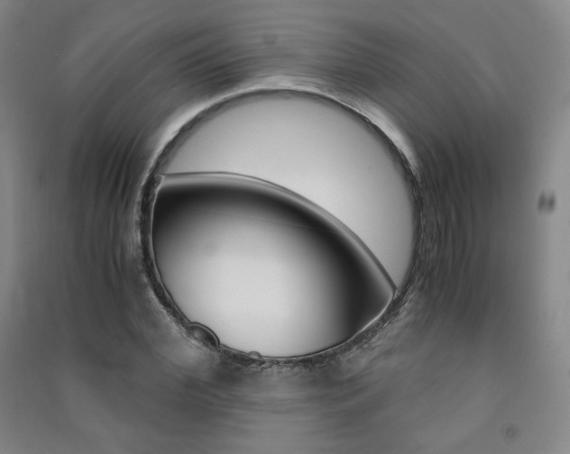 X0000091490972200708161207