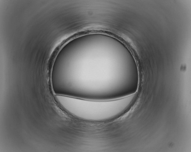 X0000091490973200708161207