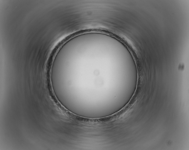 X0000091490975200708161207