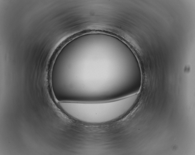 X0000091490976200708161207