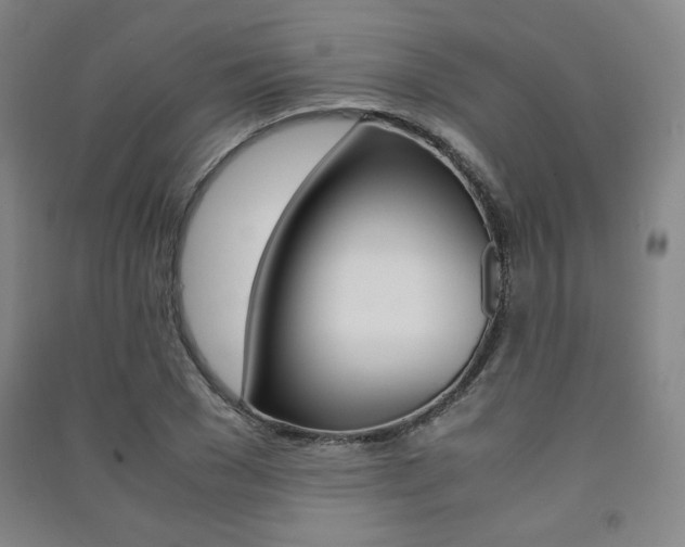 X0000091490977200708161207