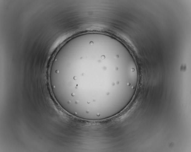 X0000091490978200708161207