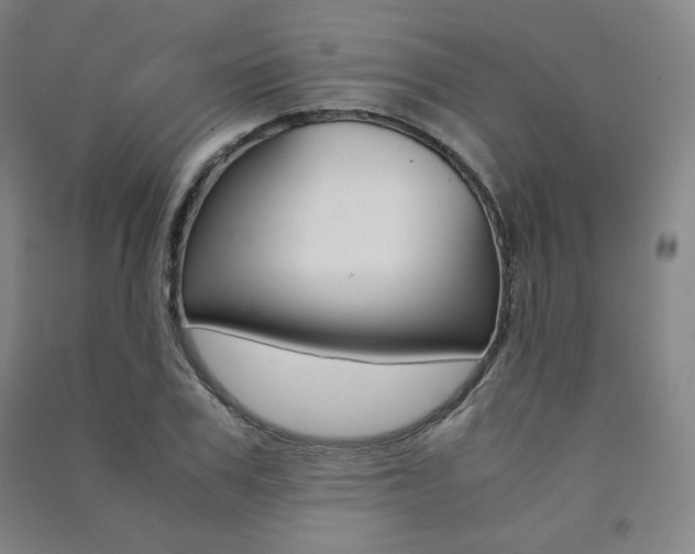 X0000091490979200708161207