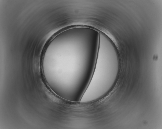 X0000091490980200708161207