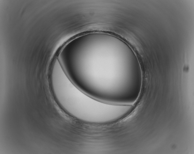 X0000091490981200708161207