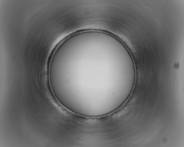 X0000091490982200708161207