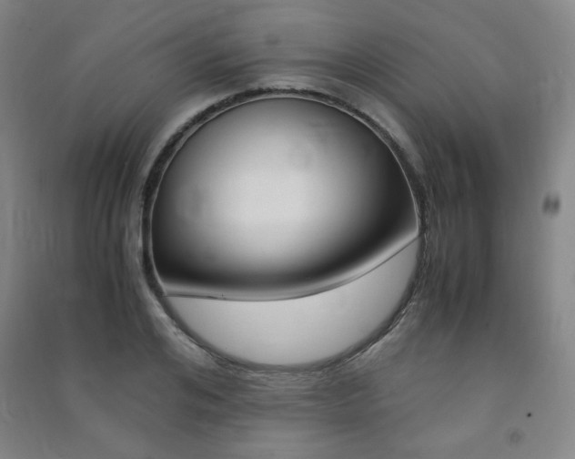 X0000091490984200708161207