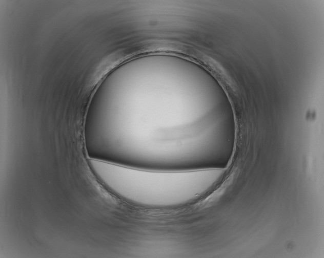 X0000091490985200708161207