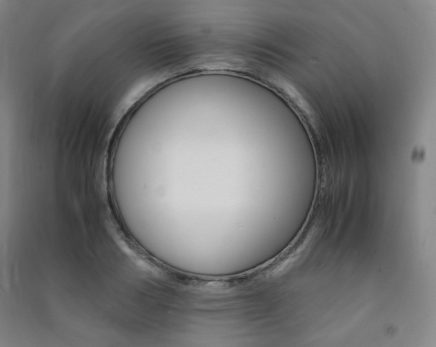 X0000091490986200708161207