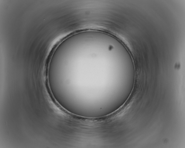 X0000091490987200708161207