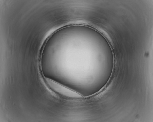 X0000091490989200708161207