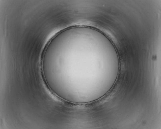 X0000091490990200708161207