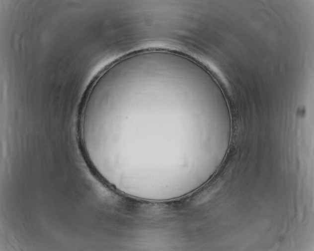 X0000091490991200708161207