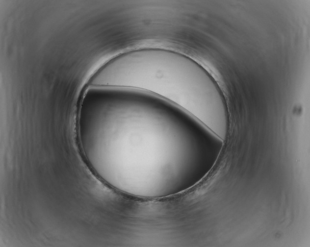 X0000091490992200708161206