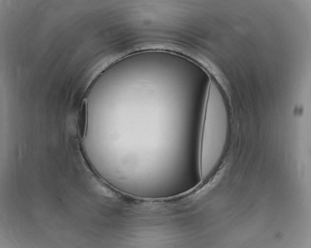 X0000091490993200708161206