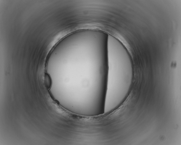 X0000091490994200708161206