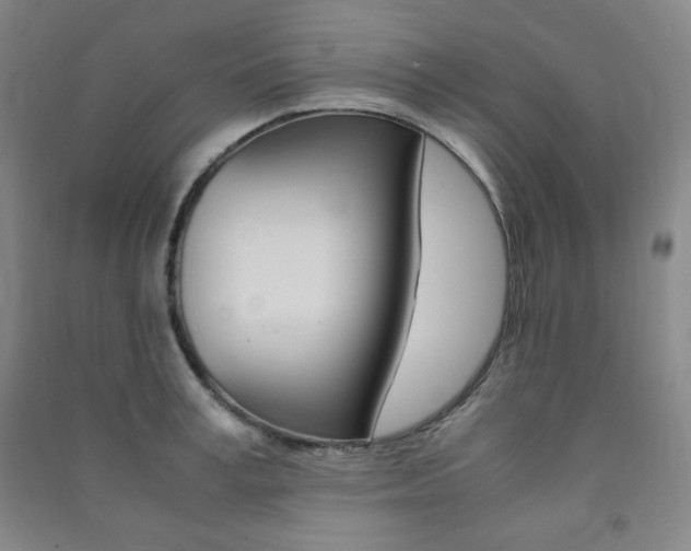 X0000091490995200708161206
