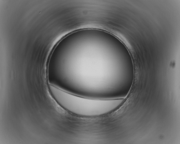 X0000091490996200708161206