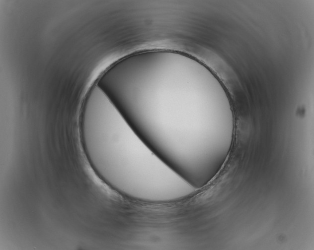 X0000091490998200708161206