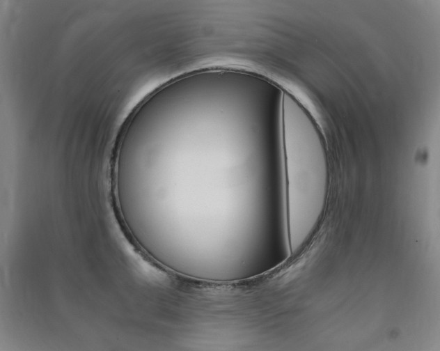X0000091490999200708161206