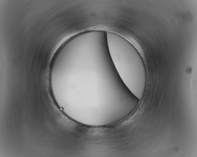 X0000091491000200708161206