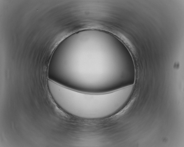 X0000091491001200708161206