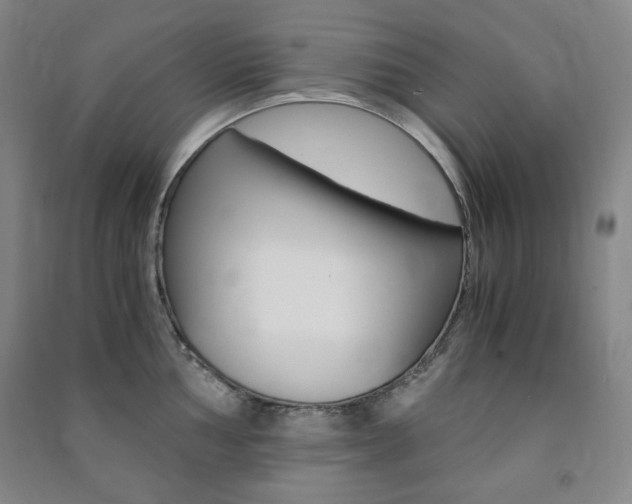 X0000091491002200708161206