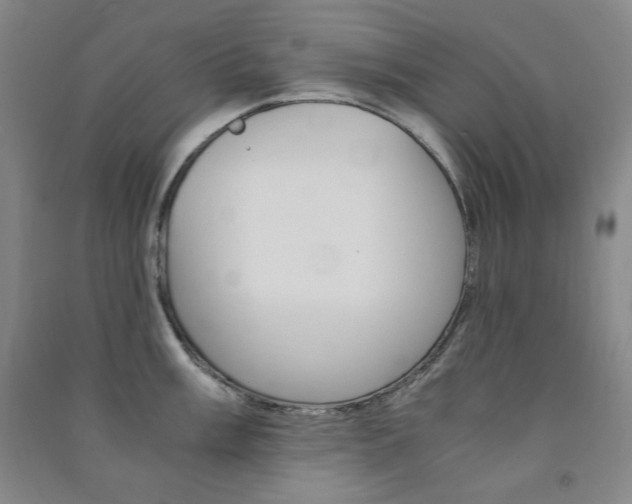 X0000091491003200708161206