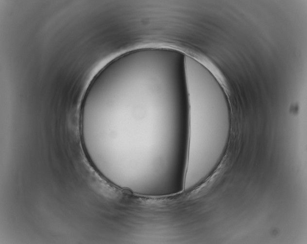 X0000091491004200708161206